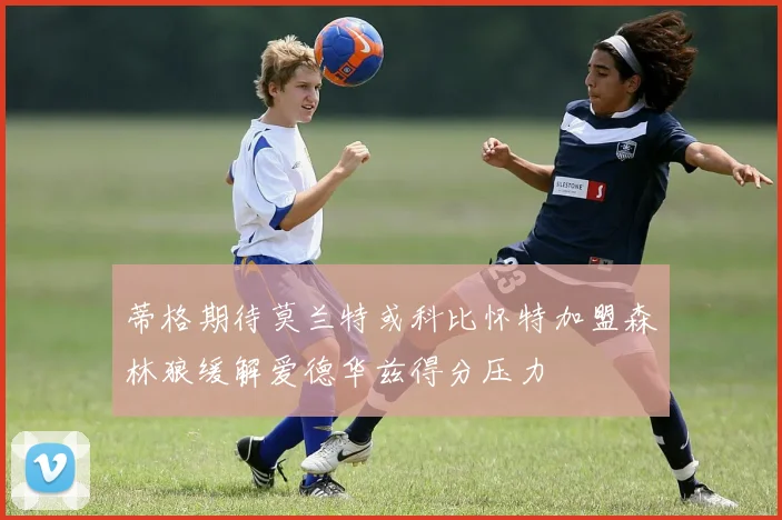 蒂格期待莫兰特或科比怀特加盟森林狼缓解爱德华兹得分压力