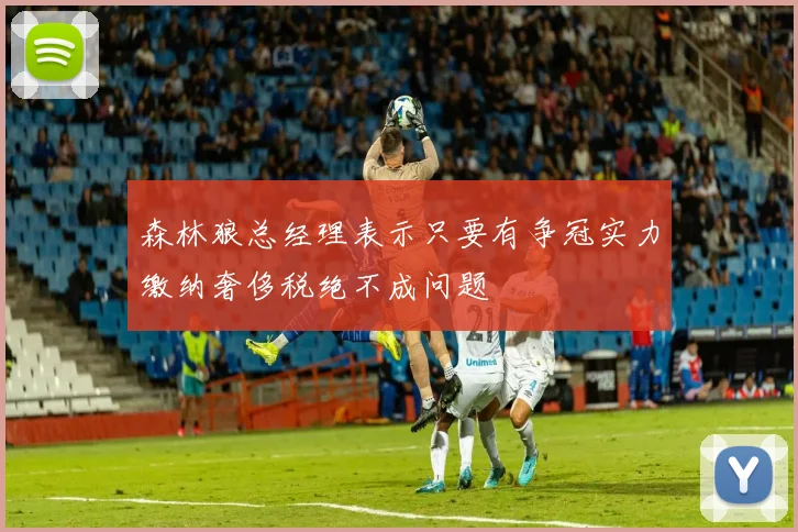 森林狼总经理表示只要有争冠实力缴纳奢侈税绝不成问题